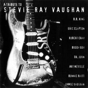 Tribute To Stevie Ray Vaughan (1996)