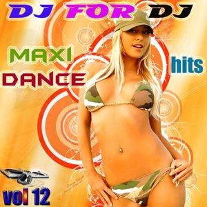 Dj - For - Dj - Maxi Dance Hits Vol 12 (2009)